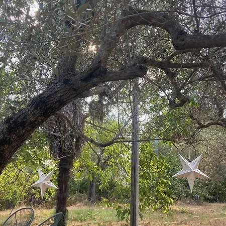 Cento20 - & Relax Bed & Breakfast Bolsena